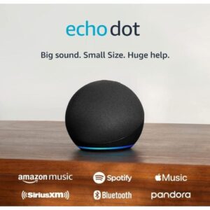 Amazon Echo Dot (newest model)