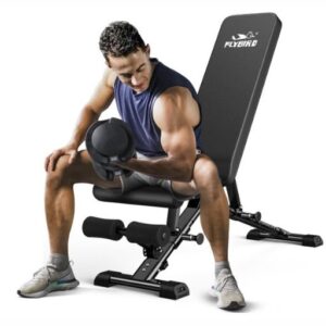 FLYBIRD Weight Bench