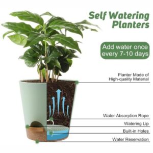 Indoor Self Watering Planters with Drainage Holes